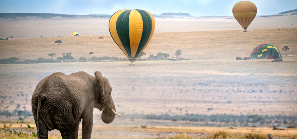 Baloon Safari in Masai Mara