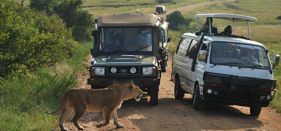 Masai Mara Safari packages